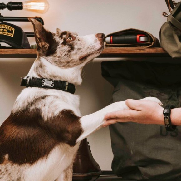 ❤Hero Dog Heavy Duty Paracord Dog Collar - Picture 3 of 7